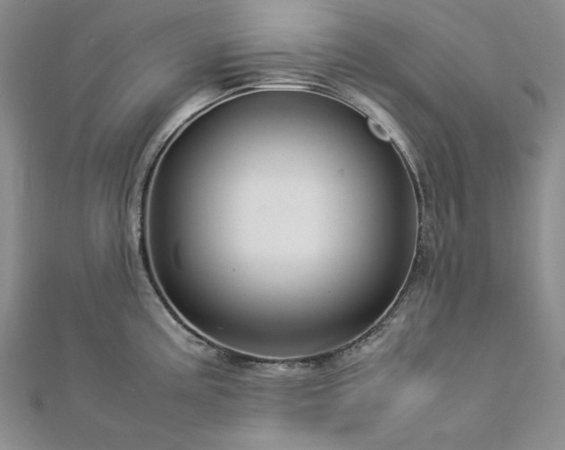 X0000113011195200908271402