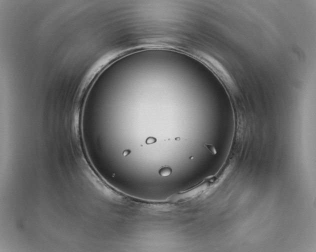 X0000113011196200908271402