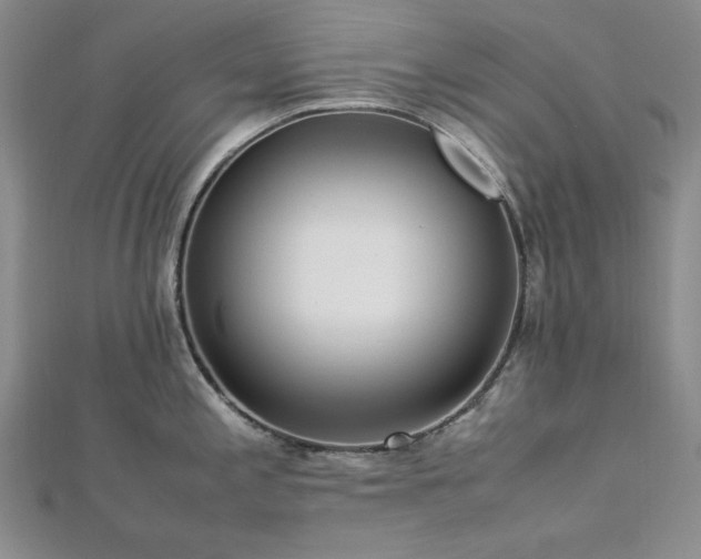 X0000113011197200908271402