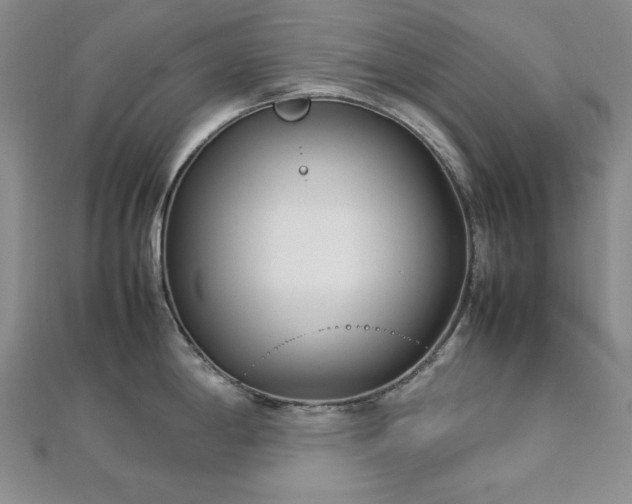 X0000113011198200908271402