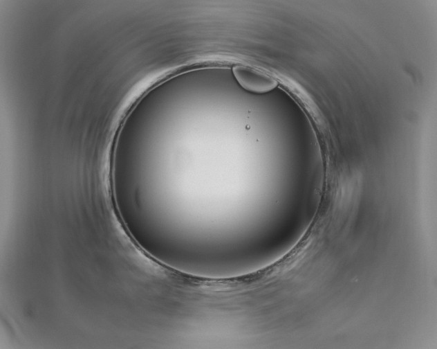 X0000113011199200908271402