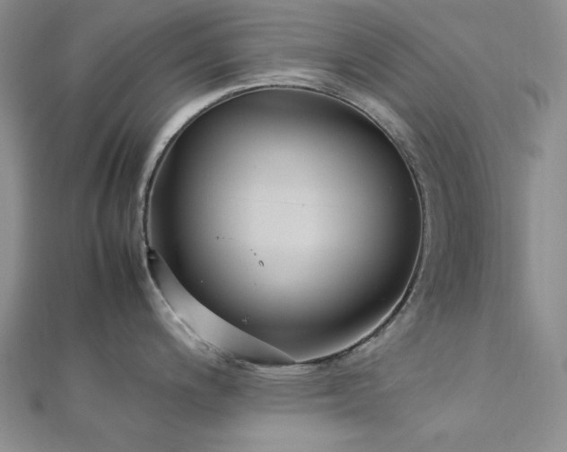 X0000113011200200908271402