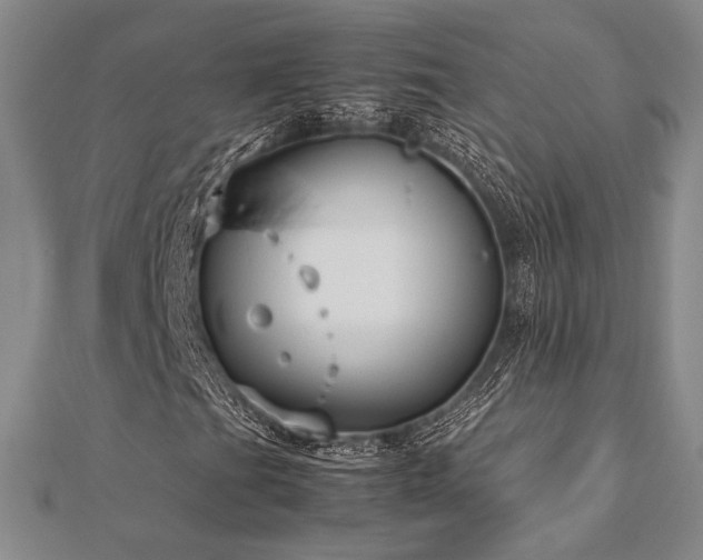 X0000113011201200908271401