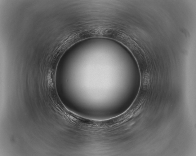 X0000113011202200908271401