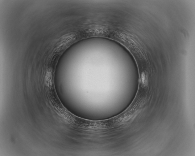 X0000113011203200908271401