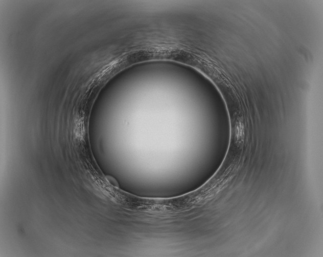 X0000113011204200908271401