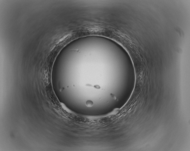 X0000113011205200908271401