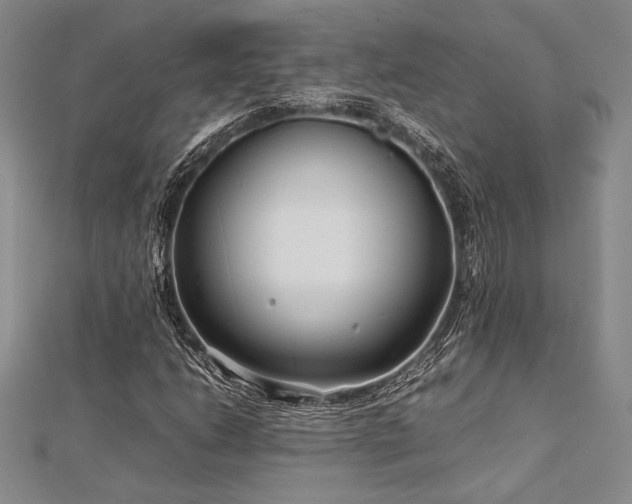 X0000113011206200908271401