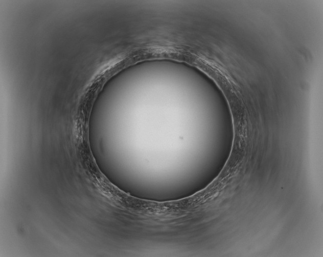 X0000113011207200908271401