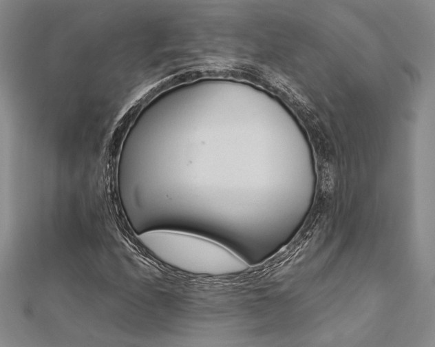 X0000113011208200908271401