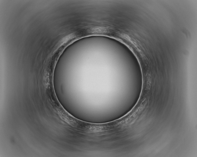 X0000113011211200908271401