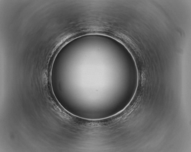 X0000113011212200908271401