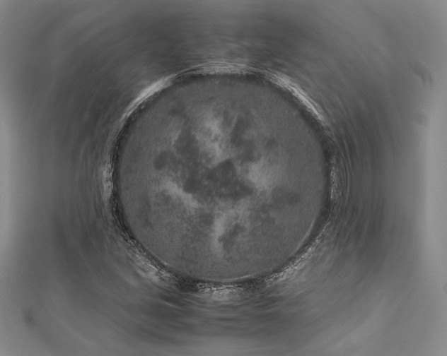 X0000113011213200908271401