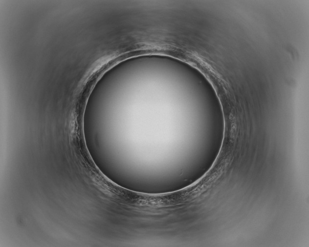 X0000113011215200908271401