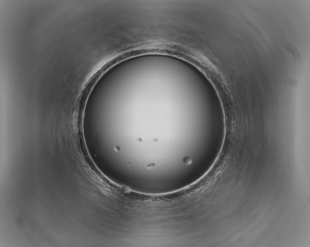 X0000113011216200908271401