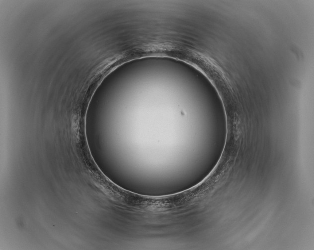 X0000113011217200908271401