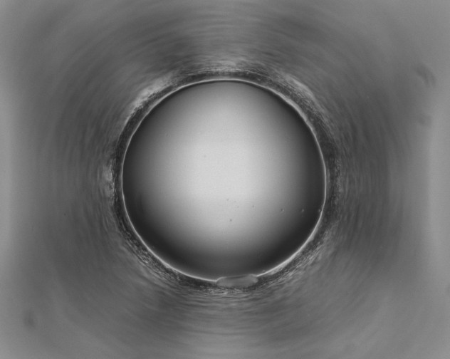 X0000113011218200908271401