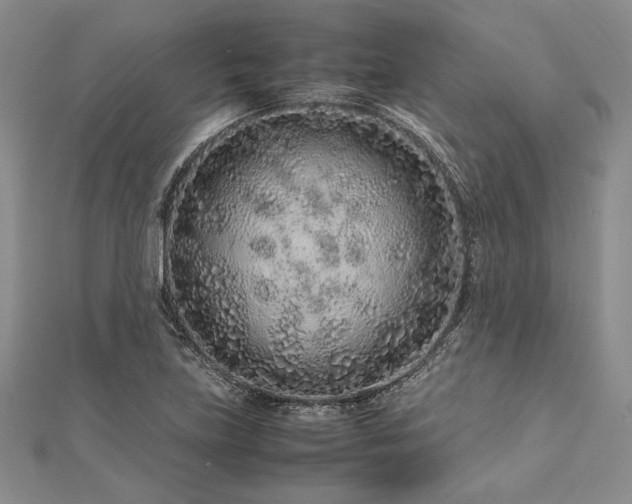 X0000113011219200908271401