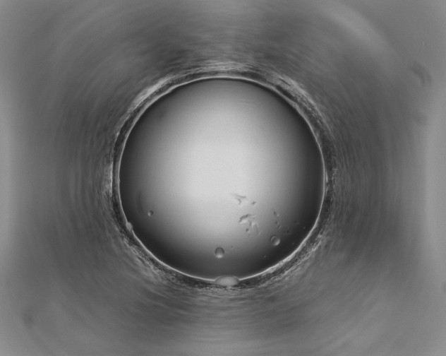 X0000113011220200908271401