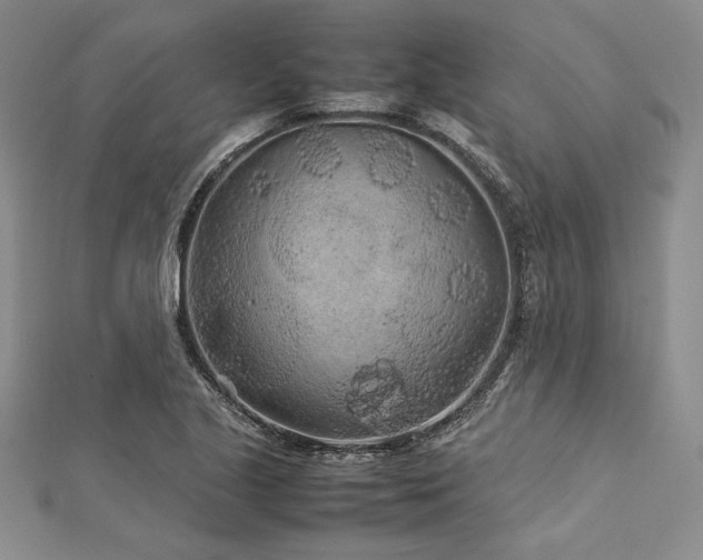 X0000113011221200908271401