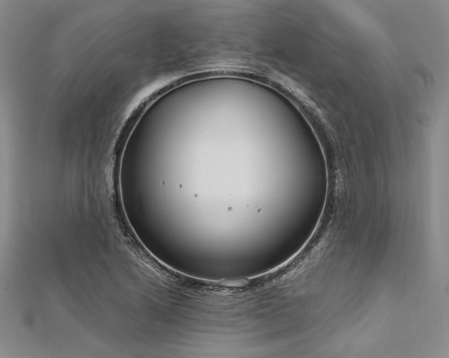 X0000113011222200908271401