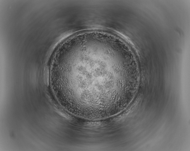 X0000113011223200908271401