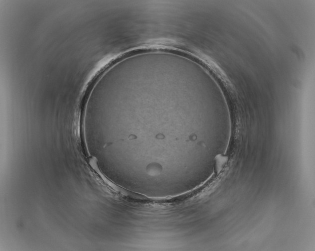 X0000113011224200908271401