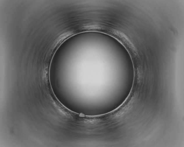 X0000113011225200908271401