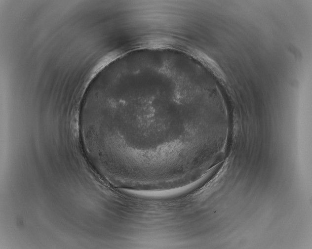 X0000113011226200908271401