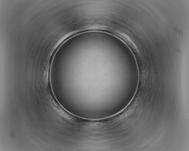 X0000113011228200908271401