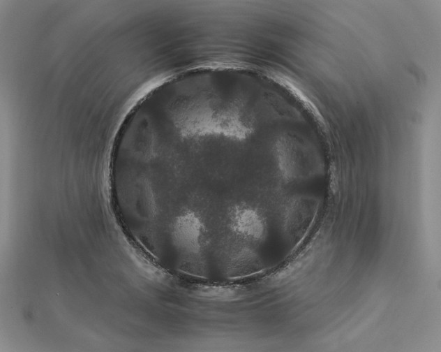 X0000113011229200908271401