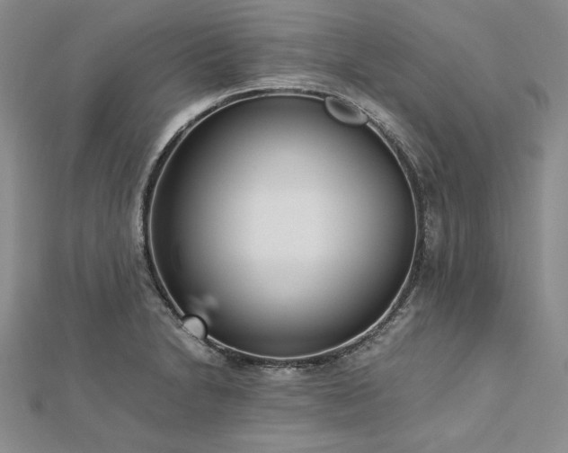 X0000113011230200908271401