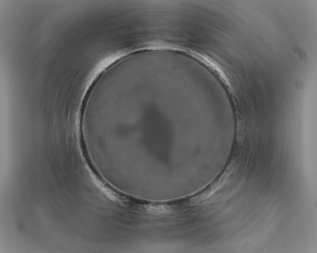 X0000113011231200908271401