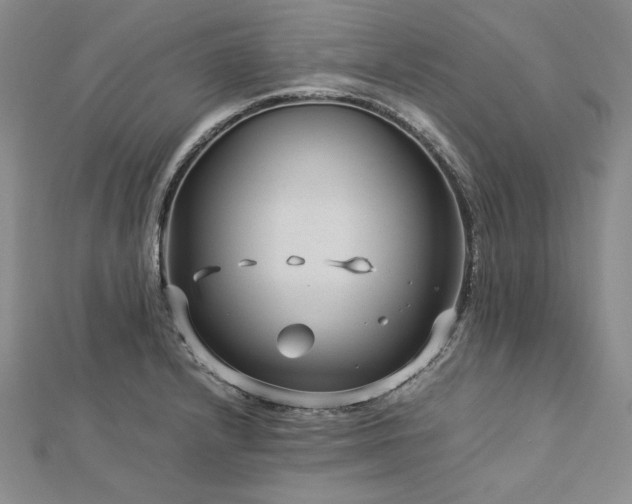 X0000113011232200908271402