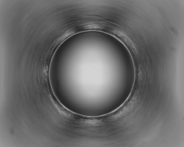 X0000113011233200908271402