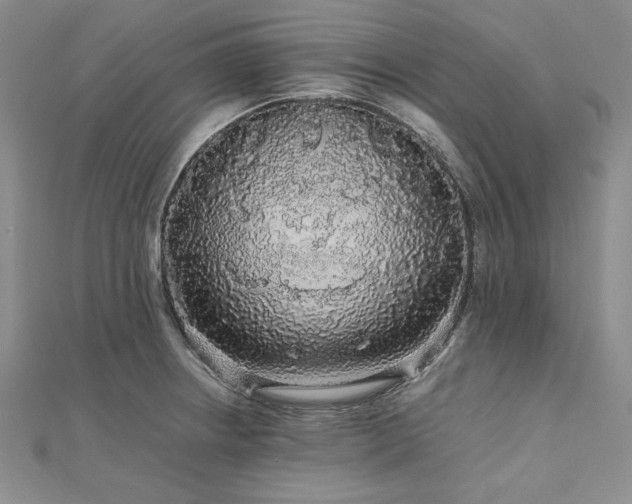 X0000113011234200908271402