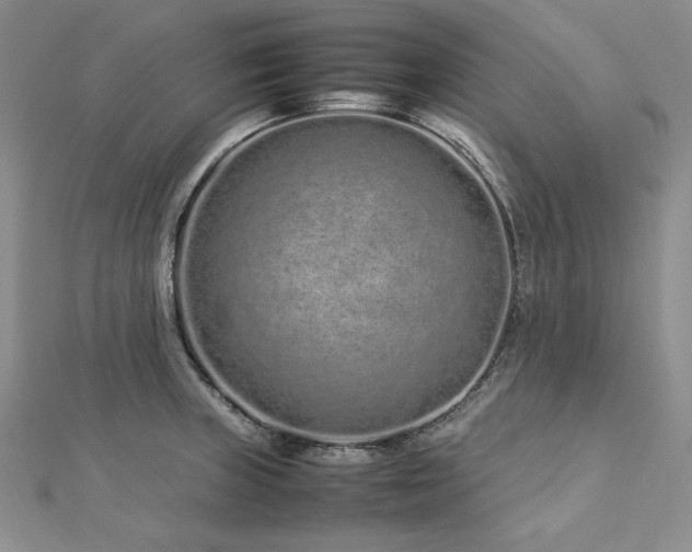 X0000113011235200908271402