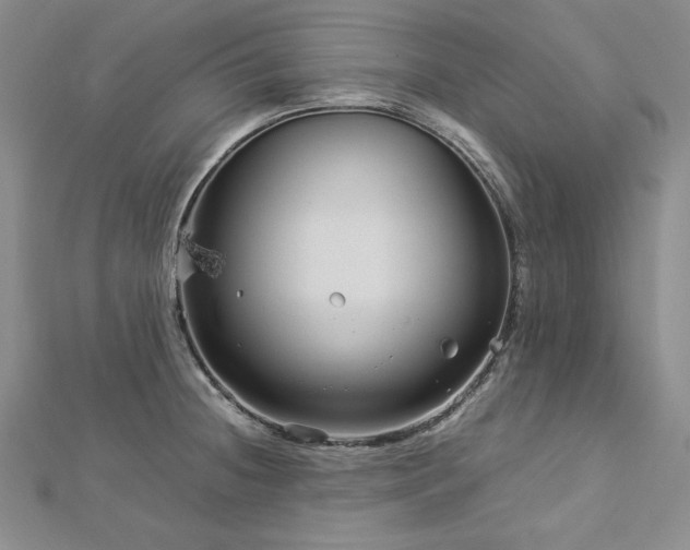 X0000113011236200908271402