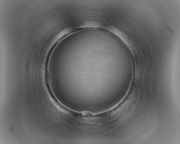 X0000113011237200908271402