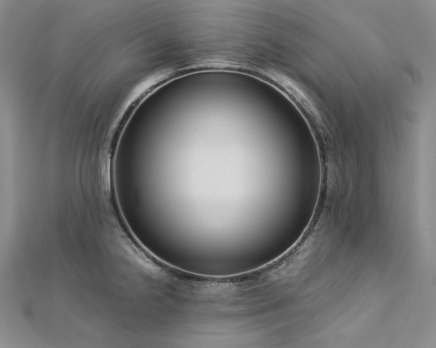 X0000113011238200908271402