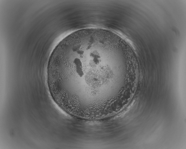 X0000113011239200908271402