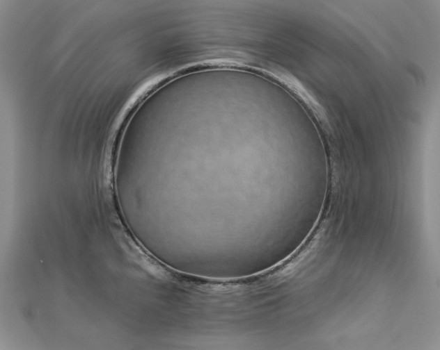 X0000113011240200908271402