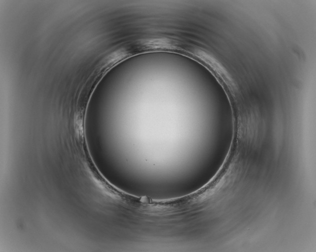 X0000113011241200908271402