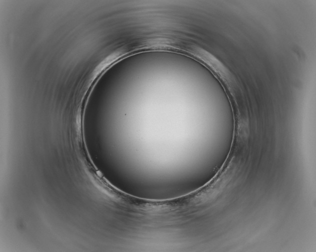 X0000113011242200908271402