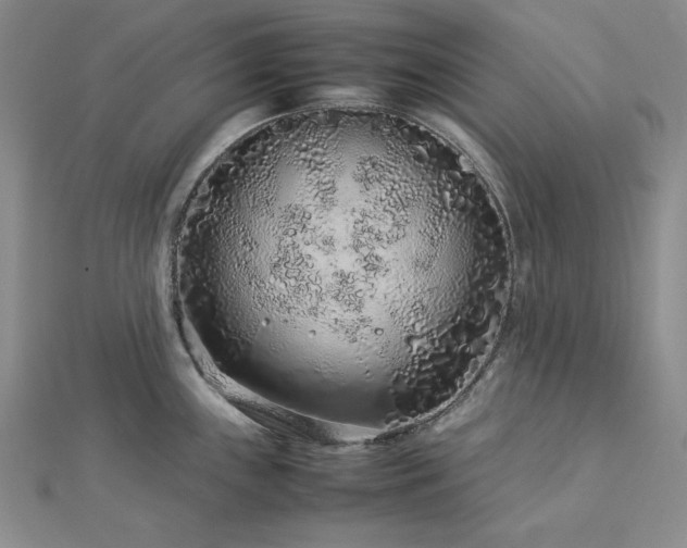 X0000113011243200908271402