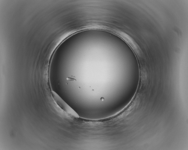 X0000113011244200908271402