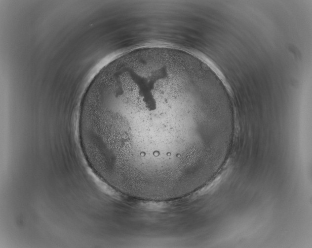 X0000113011245200908271402