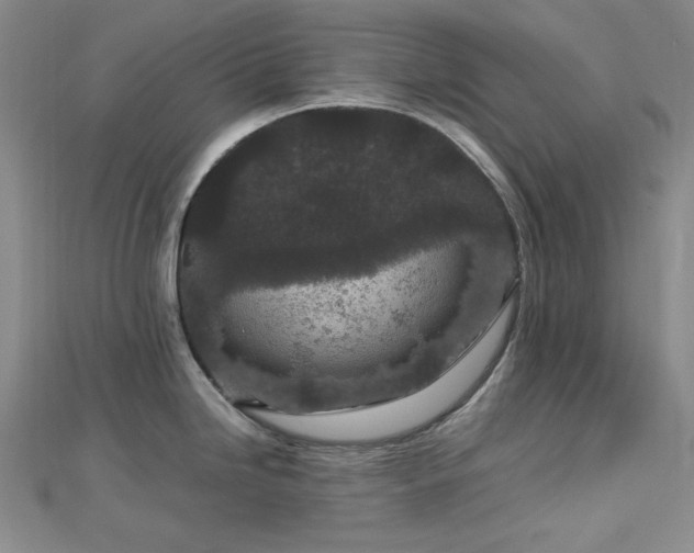 X0000113011246200908271402