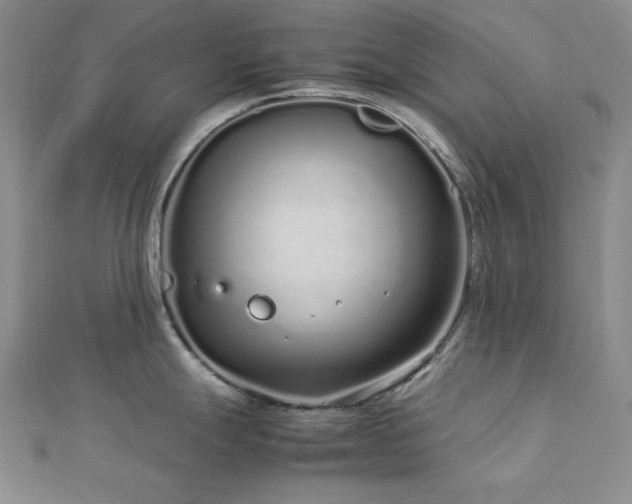 X0000113011247200908271402