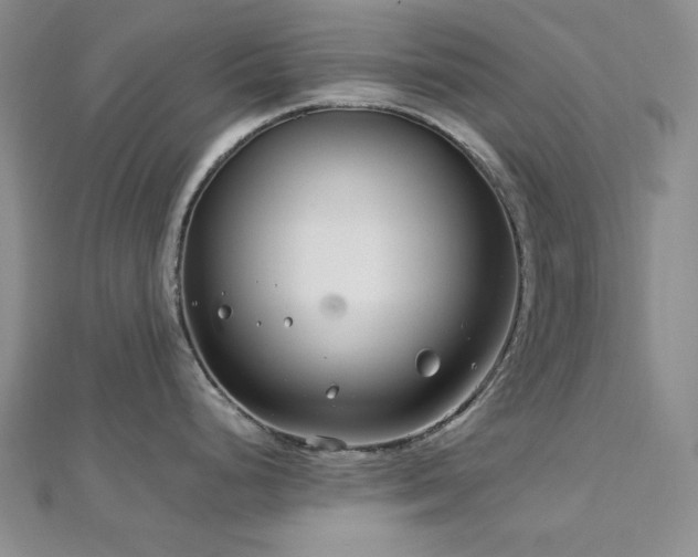 X0000113011248200908271402